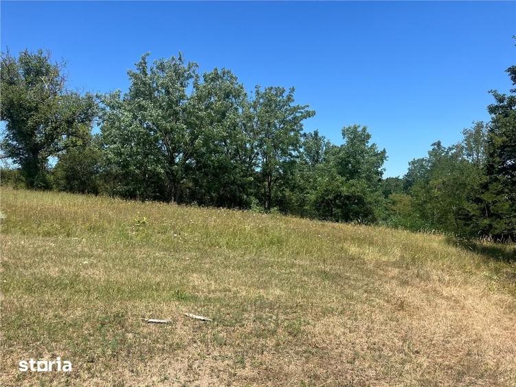Teren de 21300 mp, în Lăzăreni