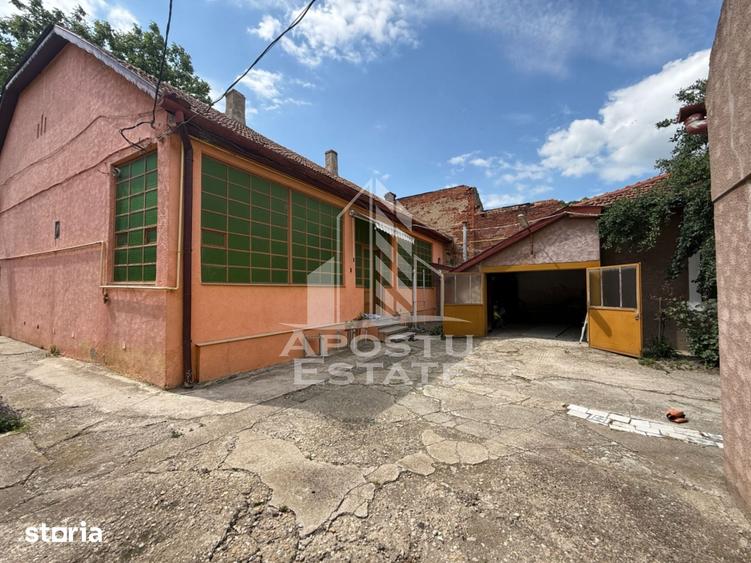 Casă cu 8 camere cu Teren 1126 Mp în Iosefin