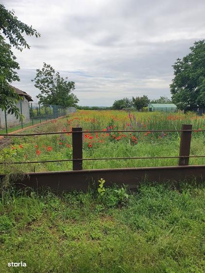 Teren de 3000 mp, în Dorobanțu