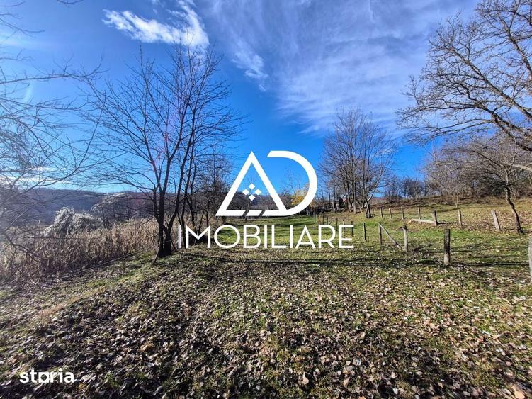 Proprietate de vanzare in Sat Cerni?oara, Jude? Valcea - 3