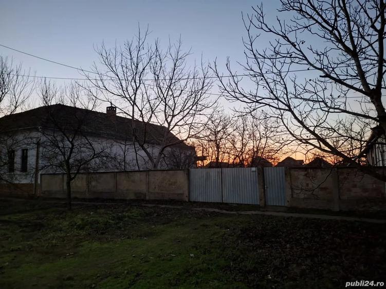 Casă cu Teren 2156 Mp în Dudeștii Vechi