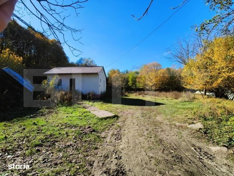 Spațiu comercial, în Schiau