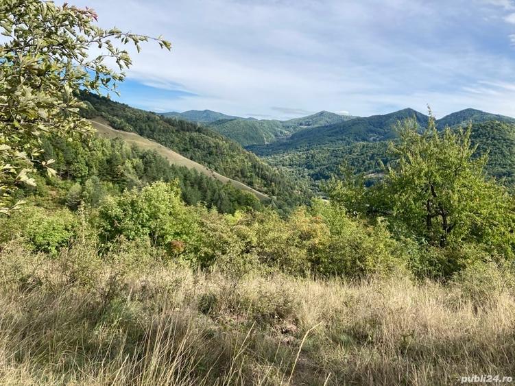 Teren de 4420 mp, în Vinețisu