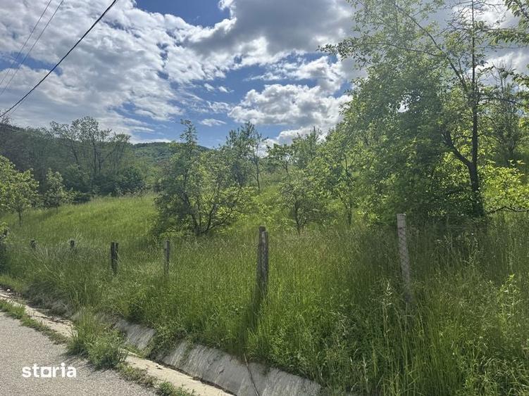 Teren de 1719 mp, în Văleni-Dâmbovița