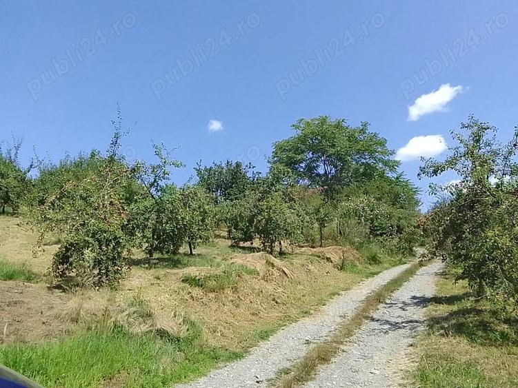 Teren de 6100 mp, în Cehal
