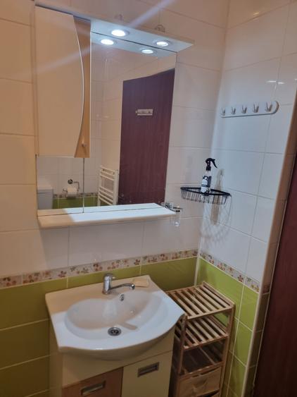 Apartament cu 2 camere în Dosu Bricii