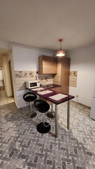 Inchirire apartament studio Central - 8