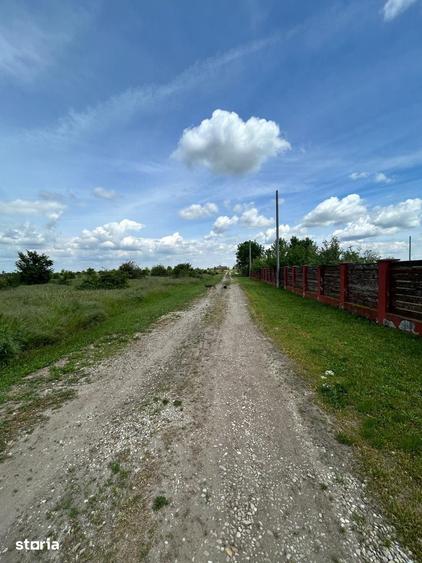 Teren de 575 mp, în Letca Nouă