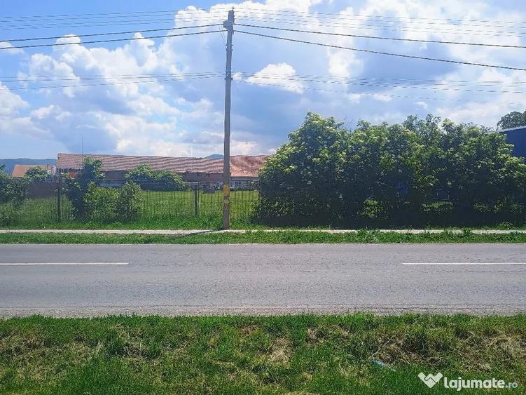Teren în Cărpiniș