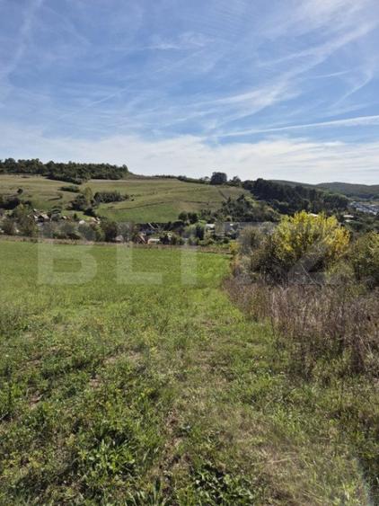 Parcela 12000 mp teren intravilan de vanzare in Livezeni - 4