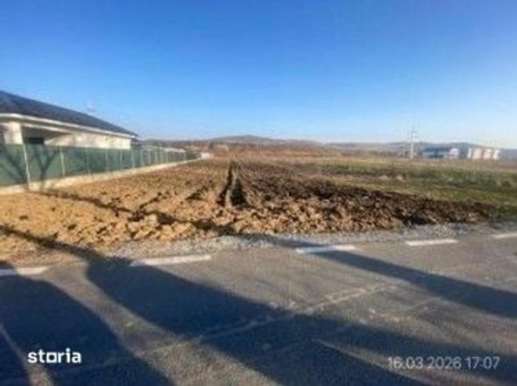 Teren de 292 mp, în Viișoara
