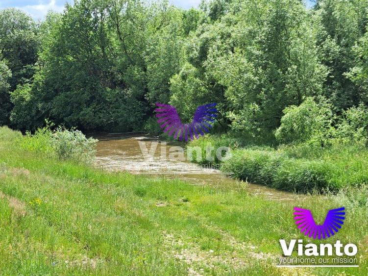 Teren agricol extravilan de 1010 mp, în Turnișor