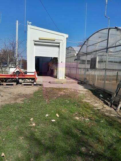 IALOMITA - SE VINDE TEREN 3100 MP - SAT ROSIORI - 1
