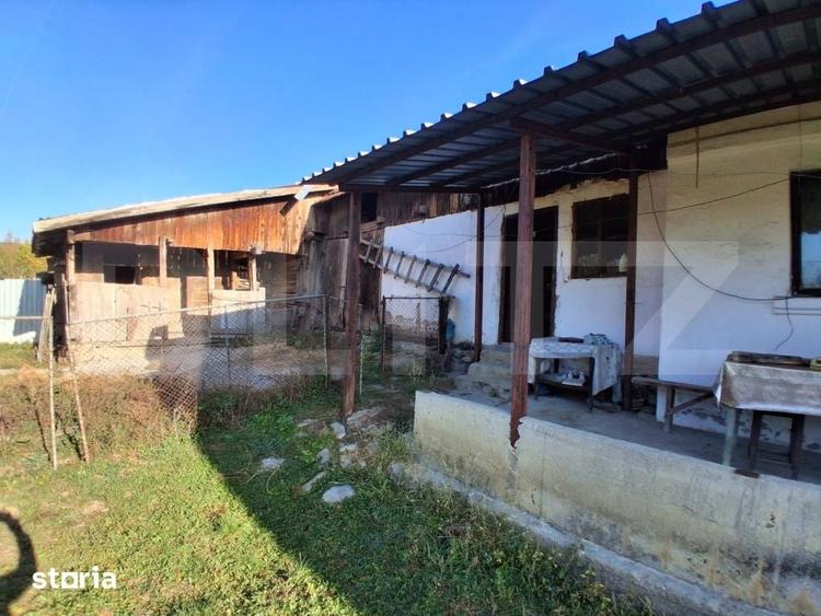 Casă cu 3 camere decomandat cu Teren 3800 Mp în Alimpești
