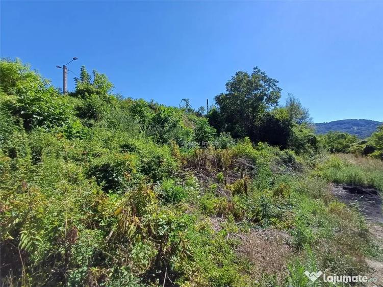 Resita, Teren Intravilan 473 Mp., Cu Utilitati, Zona Mociur - 10