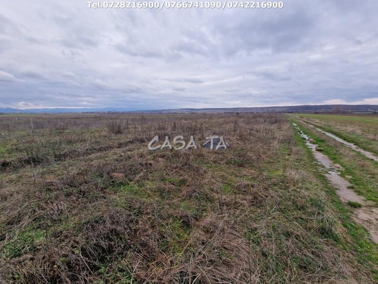Teren Construcții extravilan de 5900 mp, în Central