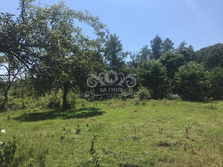 Teren Construcții extravilan de 5000 mp, în Câmpulung Muscel