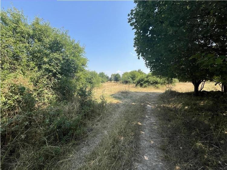 Teren Construcții intravilan de 2337 mp, în Tileagd