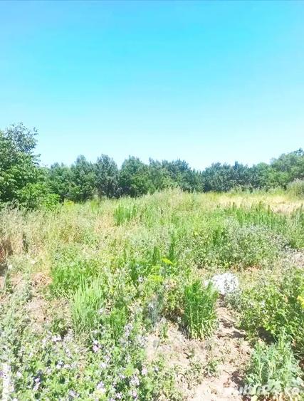 Teren de 1500 mp, în Nădab