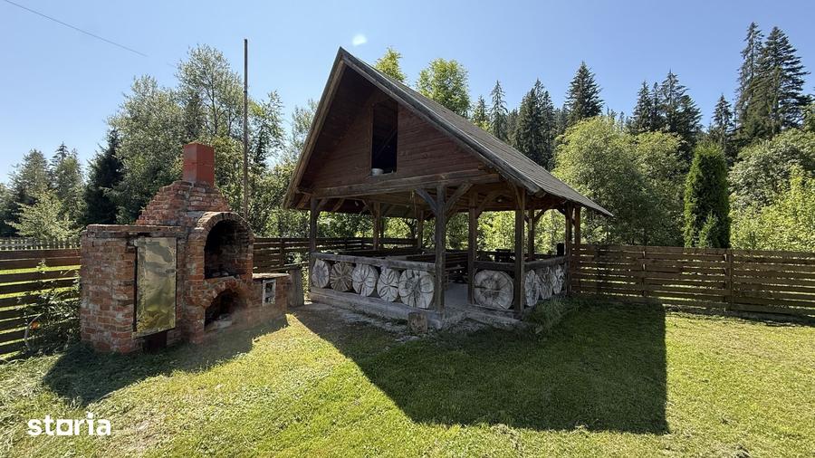 Casă cu 4 camere cu Teren 3000 Mp în Sadova