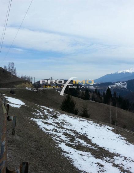Moeciu, Drumul Carului, teren 3750 mp, 75000 euro - 3