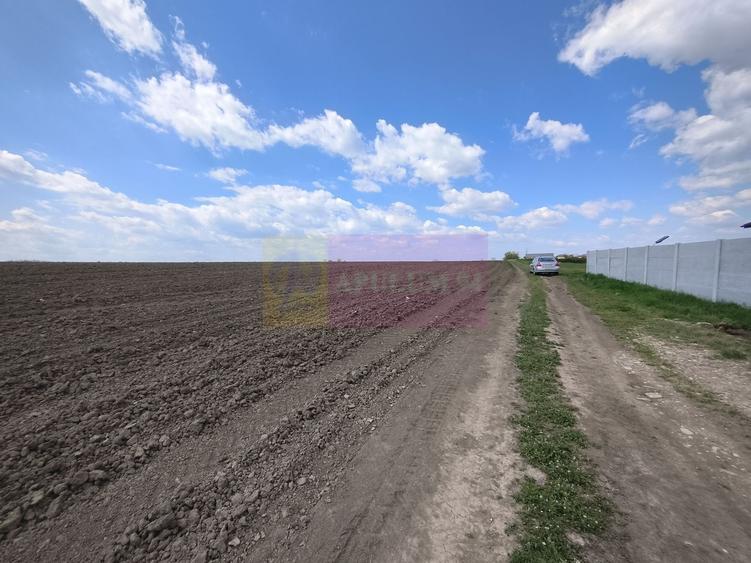 Teren Construcții intravilan de 3000 mp, în Poșta