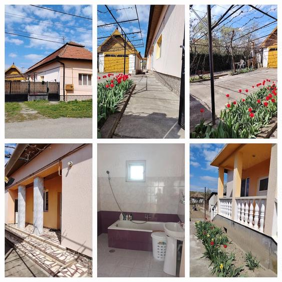 Casă cu 5 camere cu Teren 830 Mp în Central