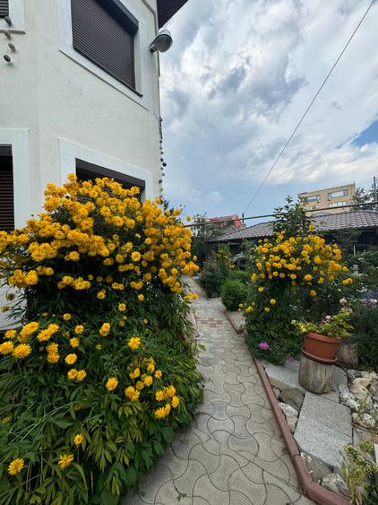 Casă cu 9 camere cu Piscina în Băneasa