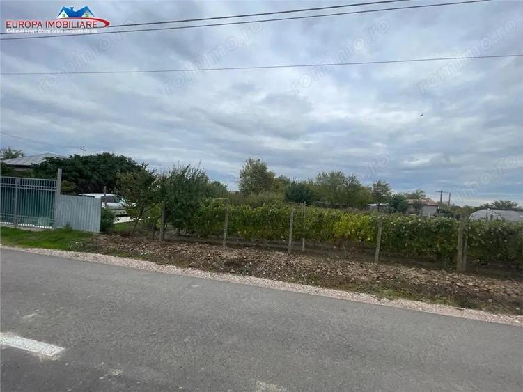 Teren de 1000 mp, în Iazurile