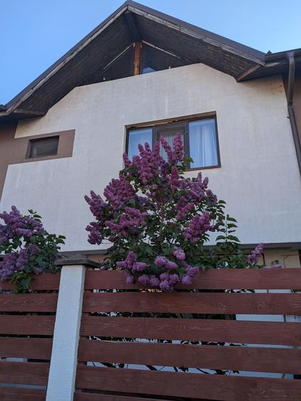 Casă cu 3 camere în Berceni