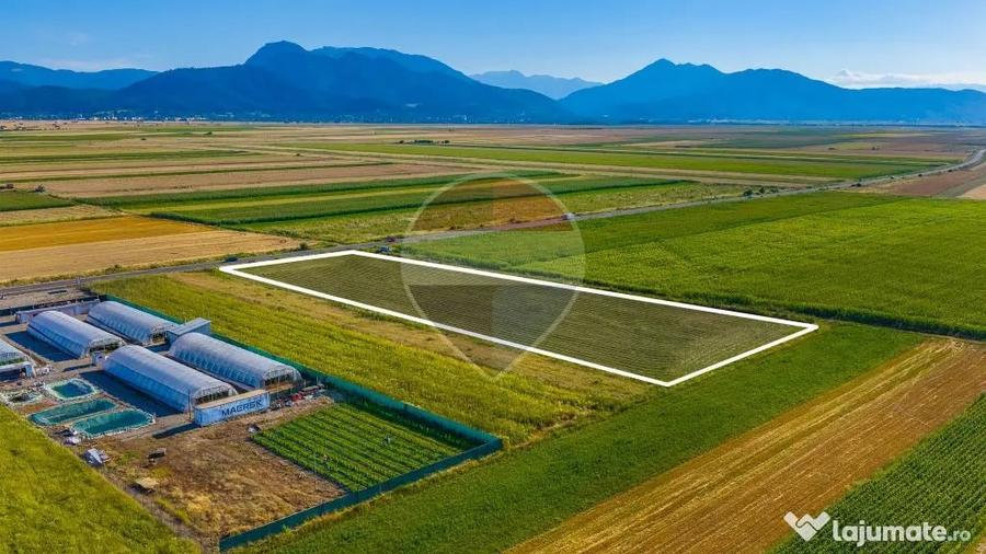 COMISION 0% | Teren intravilan 7.500 mp | Tarlungeni, Brasov - Tarlungeni (Brasov) - 6