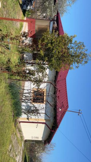 Casa de vanzare - 6