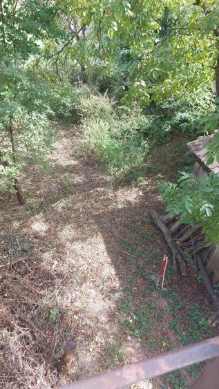 Casă cu 5 camere cu Teren 399 Mp în Sighetu Marmației