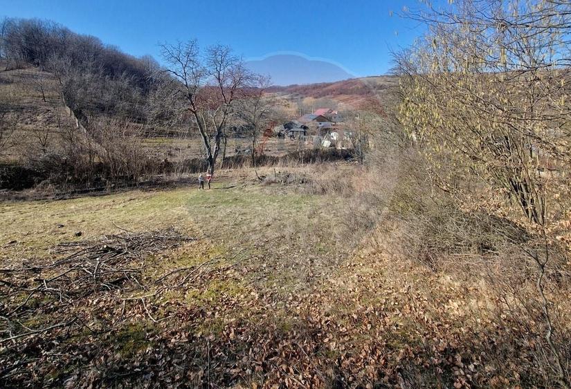 Teren Construcții intravilan de 4985 mp, în Sascut