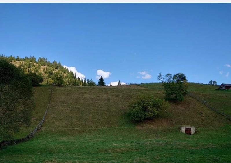 Teren Construcții intravilan de 1724 mp, în Ortoaia