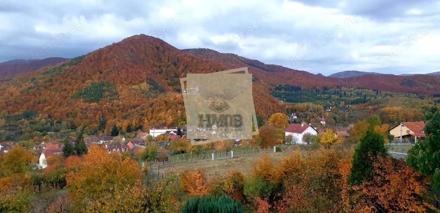 Casă cu 5 camere cu Piscina în Cisnădioara