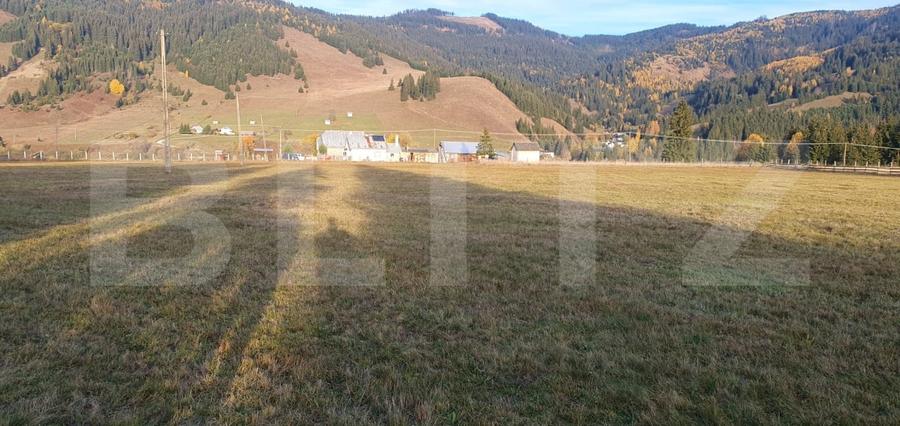 Teren Construcții extravilan de 9031 mp, în Vatra Dornei