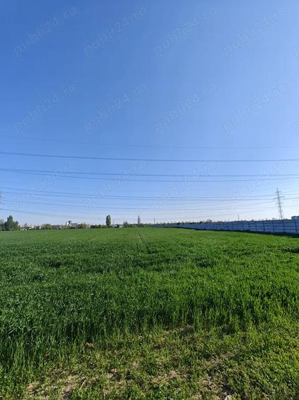 Teren de 5000 mp, în Cățelu