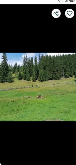 Vand /schimb cu auto teren 3,6 ha cu Lac INTRAVILAN munte Bucovina - 2