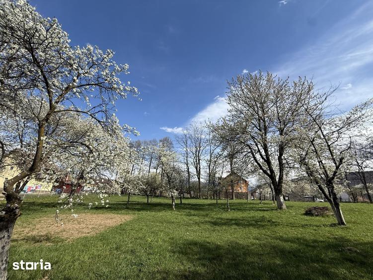 Teren de 1355 mp, în Tohănița