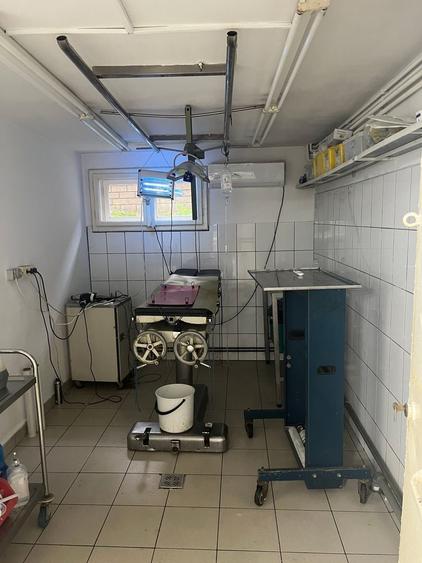 Casă individuală cu 8 camere cu Canalizare în Torontalului