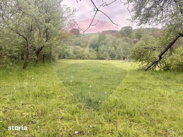 Casă cu 2 camere cu Teren 7295 Mp în Desești