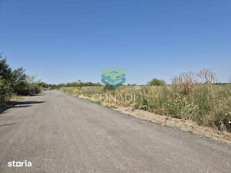 Teren de vanzare cu autorizatie pentru 2 hale - Otopeni - 10.000 mp - 3