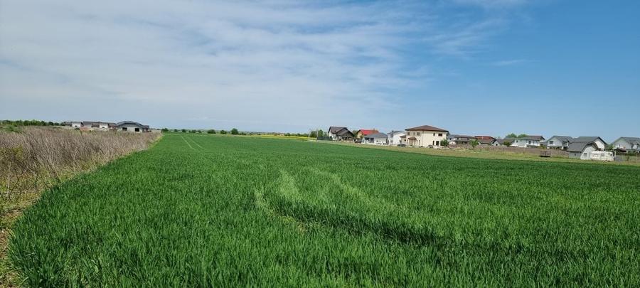 Teren Construcții intravilan de 627 mp, în Crevedia