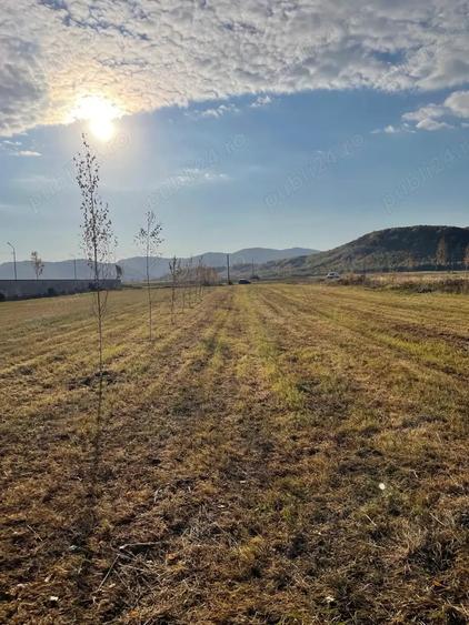 Teren de 3000 mp, în Măgureni