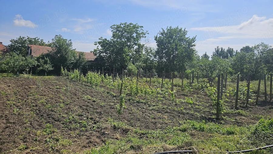 Casă cu Teren 2100 Mp în Pristol