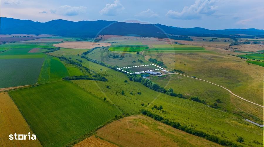 Oportunitate pentru fermieri: 10.800 mp teren arabil in Rotbav, Bra?ov - 14