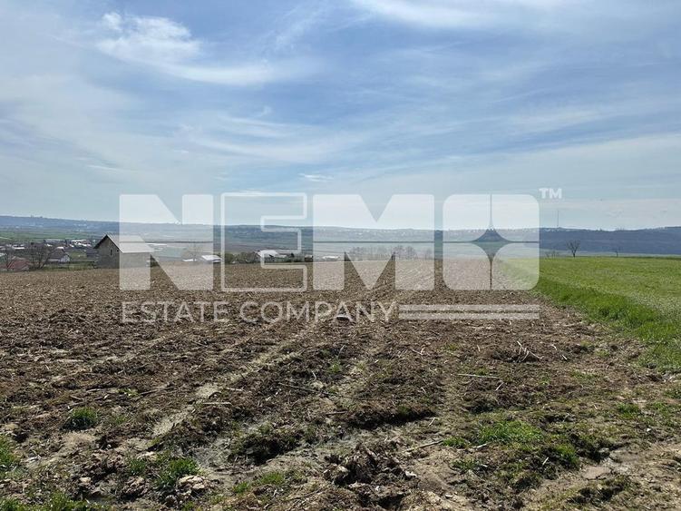 Teren de 3900 mp, în Pătrăuți