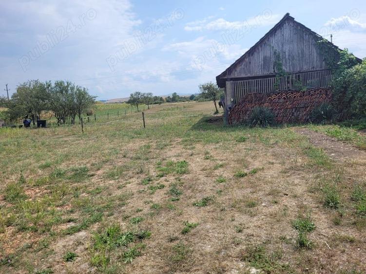 Casă în Topa de Criș