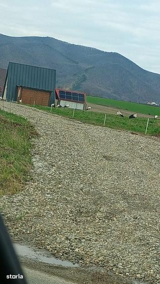 Teren de 1630 mp, în Luizi-Călugăra